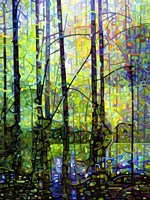 Poolside Fine Art Print