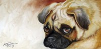 Cutie Pie Pug Fine Art Print