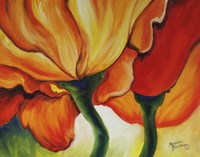 Golden Poppy Abstract Fine Art Print