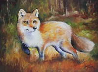 Little Red Fox Fine Art Print