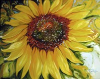 Sundown Sunflower Fine Art Print