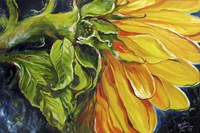 Sunflower Abstract Fine Art Print