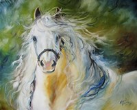 White Cloud The Andlusian Stallion Fine Art Print
