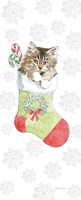 Christmas Kitties IV Snowflakes Fine Art Print