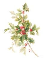 Floursack Holiday IX Framed Print