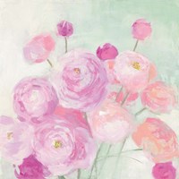 Soft Ranunculus Fine Art Print