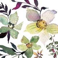 Hellebore Ya Doing III Fine Art Print