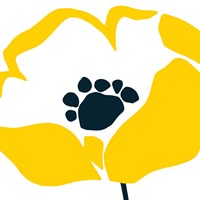 Pop Art Floral II Fine Art Print