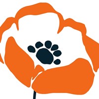 Pop Art Floral III Fine Art Print