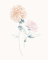 Flowers on White IV Contemporary Fine Art Print