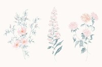 Flowers on White IX Contemporary Fine Art Print