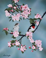 Red-breasted Grosbeaks Fine Art Print