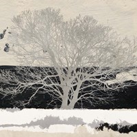 Silver Tree (detail) Fine Art Print