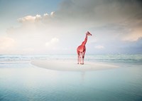 Oceanic Savannah Fine Art Print