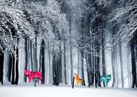 Kings of the Wild Frontier Fine Art Print