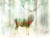 Lord of the Woods Fine Art Print