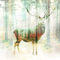 Lord of the Woods (detail) Fine Art Print