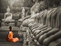 Young Buddhist Monk Praying, Thailand (BW) Fine Art Print