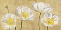 Poppies on Gold Fine Art Print