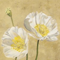 Poppies on Gold I Fine Art Print