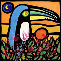 Tucano all'alba Fine Art Print