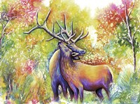 Elk Love Fine Art Print