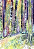 Redwoods Road Trip Fine Art Print