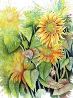 Sunflowers Fine Art Print