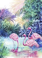 Three Flamingos Fine Art Print