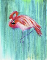Flamingo Fine Art Print