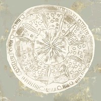 Cone Shells III Fine Art Print