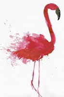 Flamingo Portrait II Framed Print