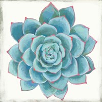 Pastel Succulent II Framed Print