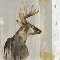 Stag II Framed Print