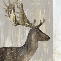 Stag III Framed Print