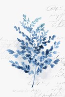 Botanical Blue III Fine Art Print