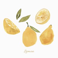 Fresh Lemons Fine Art Print
