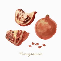 Pomegranate Framed Print