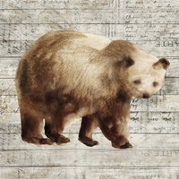 Crossing Bear I Fine Art Print
