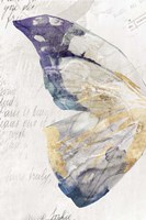 Butterfly Effect II Framed Print