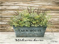 Welcome Home Fine Art Print