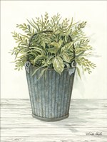 Old Bucket of Greenery Fine Art Print