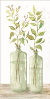 Simple Leaves in Jar I Fine Art Print