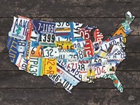 USA License Plate Map C Fine Art Print