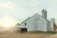 Arrival of Spring Fine Art Print