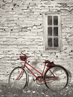 Old Red Fine Art Print