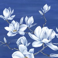 Blooming Magnolias I Framed Print