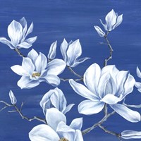 Blooming Magnolias I Fine Art Print