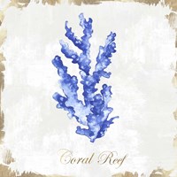Blue Sea Coral Fine Art Print