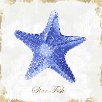 Blue Starfish Framed Print